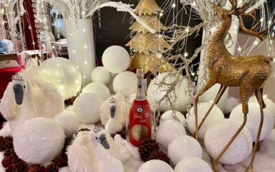 Il Natale si avvicina…festeggia alla Sprelunga!